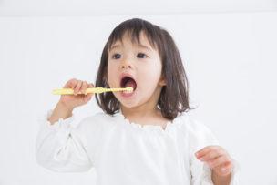 画像に alt 属性が指定されていません。ファイル名: child_brush02-304x203.jpg